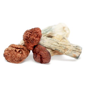 Buy Magic Mushrooms Montreal, where can I buy magic mushrooms in Westmount, where can I buy magic mushrooms in Notre-Dame-de-Grâce, buy shrooms in Outremont